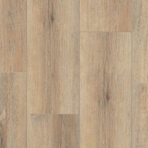 BLACKWOOD Carlo