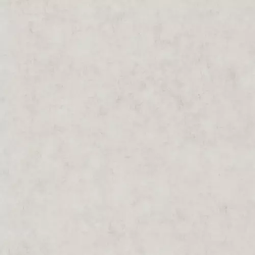 101489050