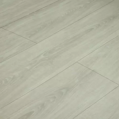 Primavera Torino T1801 Modelar