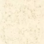 Caselio Beton 2 101491528