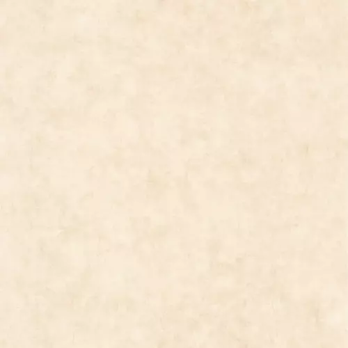 Caselio Beton 2 101481123
