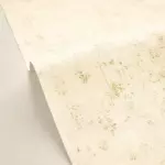Caselio Beton 2 101491528