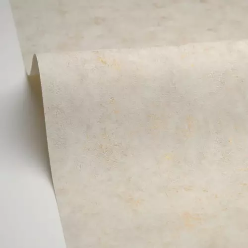 Caselio Beton 2 101491127
